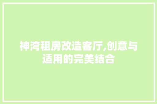 神湾租房改造客厅,创意与适用的完美结合