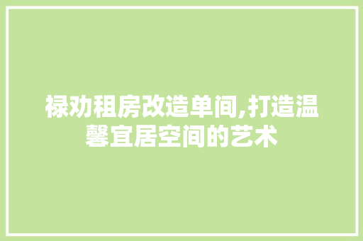 禄劝租房改造单间,打造温馨宜居空间的艺术