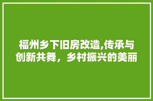 福州乡下旧房改造,传承与创新共舞，乡村振兴的美丽画卷 综合便民