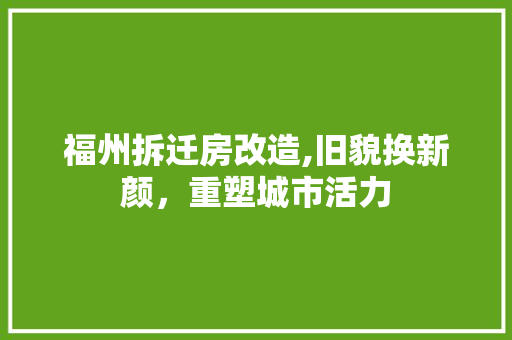 福州拆迁房改造,旧貌换新颜，重塑城市活力 厨房维修