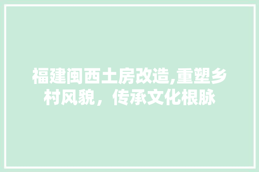 福建闽西土房改造,重塑乡村风貌，传承文化根脉