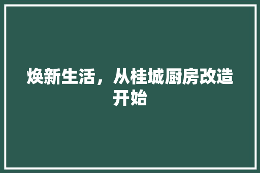 焕新生活，从桂城厨房改造开始
