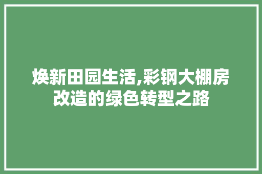 焕新田园生活,彩钢大棚房改造的绿色转型之路
