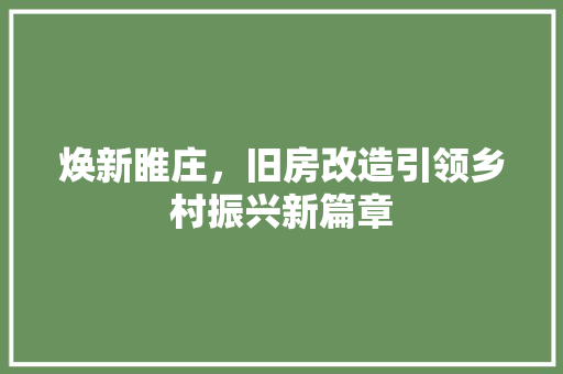 焕新睢庄，旧房改造引领乡村振兴新篇章