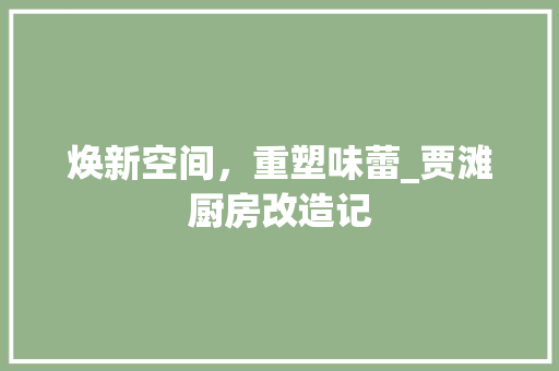 焕新空间，重塑味蕾_贾滩厨房改造记