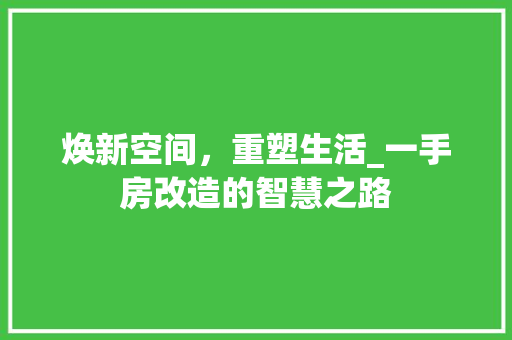 焕新空间，重塑生活_一手房改造的智慧之路