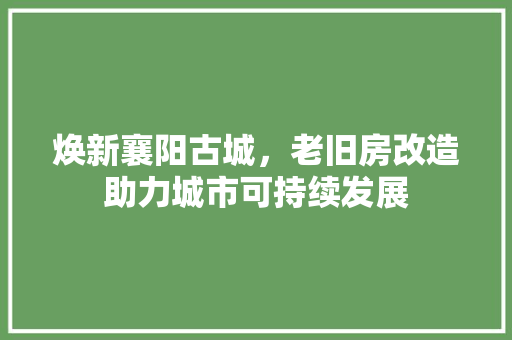 焕新襄阳古城，老旧房改造助力城市可持续发展