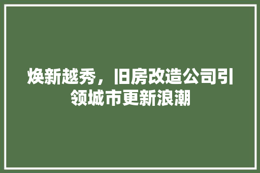 焕新越秀，旧房改造公司引领城市更新浪潮