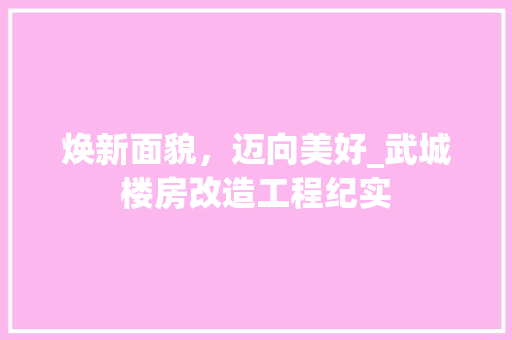 焕新面貌，迈向美好_武城楼房改造工程纪实