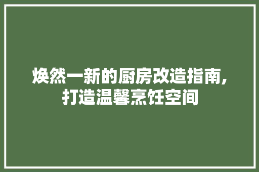 焕然一新的厨房改造指南,打造温馨烹饪空间 汽车维修