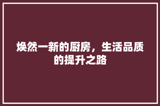 焕然一新的厨房，生活品质的提升之路 综合便民