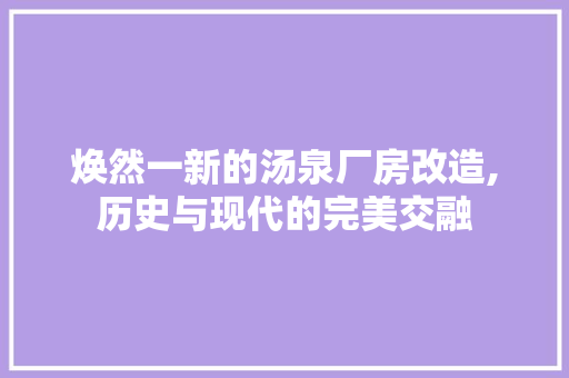 焕然一新的汤泉厂房改造,历史与现代的完美交融 墙体维修