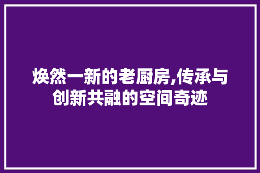 焕然一新的老厨房,传承与创新共融的空间奇迹 家电维修