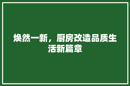 焕然一新，厨房改造品质生活新篇章 汽车维修