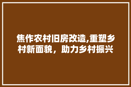焦作农村旧房改造,重塑乡村新面貌，助力乡村振兴