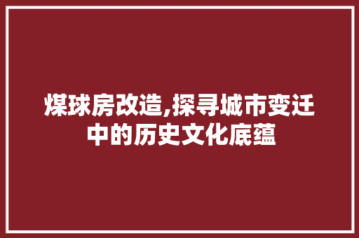 煤球房改造,探寻城市变迁中的历史文化底蕴