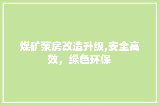 煤矿泵房改造升级,安全高效，绿色环保