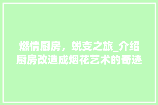 燃情厨房，蜕变之旅_介绍厨房改造成烟花艺术的奇迹