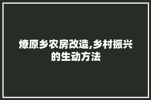 燎原乡农房改造,乡村振兴的生动方法