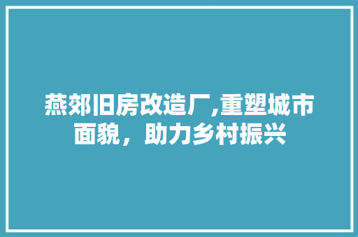 燕郊旧房改造厂,重塑城市面貌，助力乡村振兴