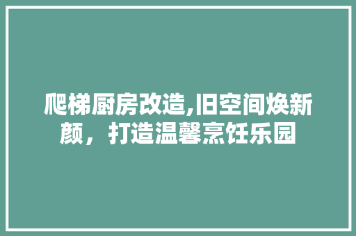 爬梯厨房改造,旧空间焕新颜，打造温馨烹饪乐园