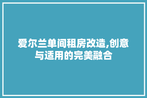 爱尔兰单间租房改造,创意与适用的完美融合