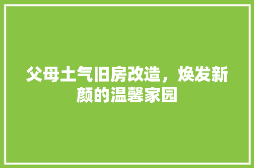 父母土气旧房改造，焕发新颜的温馨家园 墙体维修
