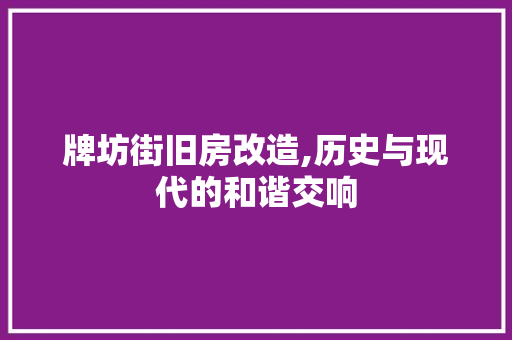 牌坊街旧房改造,历史与现代的和谐交响
