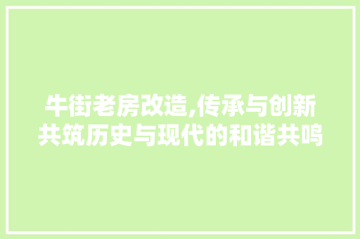 牛街老房改造,传承与创新共筑历史与现代的和谐共鸣 综合便民