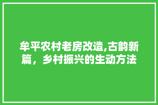 牟平农村老房改造,古韵新篇，乡村振兴的生动方法