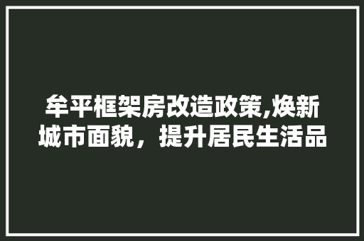 牟平框架房改造政策,焕新城市面貌，提升居民生活品质