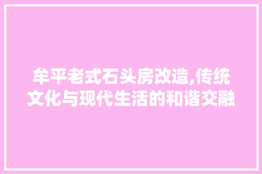 牟平老式石头房改造,传统文化与现代生活的和谐交融