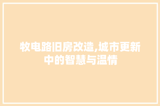 牧电路旧房改造,城市更新中的智慧与温情
