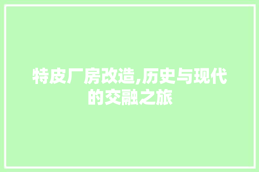 特皮厂房改造,历史与现代的交融之旅