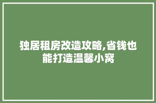 独居租房改造攻略,省钱也能打造温馨小窝