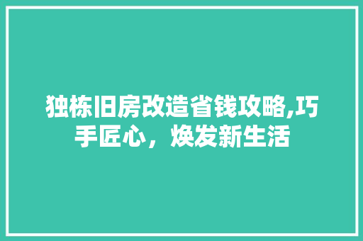 独栋旧房改造省钱攻略,巧手匠心，焕发新生活 墙体维修