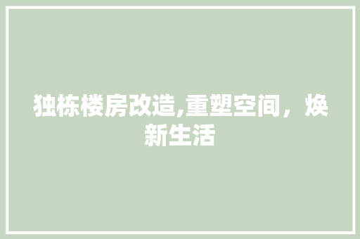 独栋楼房改造,重塑空间，焕新生活 汽车维修