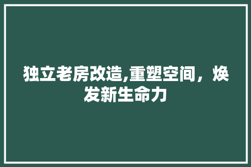 独立老房改造,重塑空间，焕发新生命力
