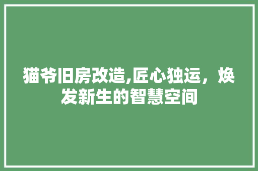 猫爷旧房改造,匠心独运，焕发新生的智慧空间