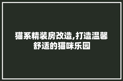 猫系精装房改造,打造温馨舒适的猫咪乐园