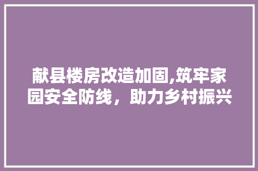 献县楼房改造加固,筑牢家园安全防线，助力乡村振兴