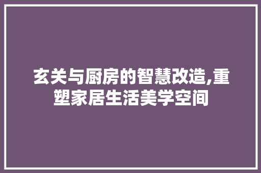 玄关与厨房的智慧改造,重塑家居生活美学空间
