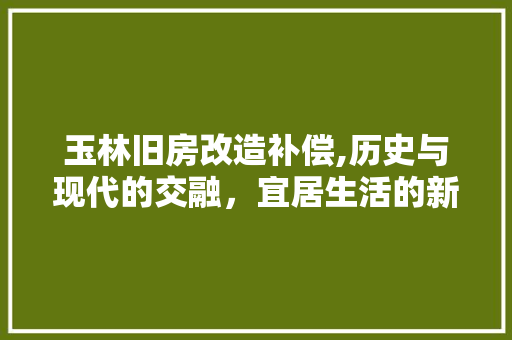 玉林旧房改造补偿,历史与现代的交融，宜居生活的新篇章 家电维修
