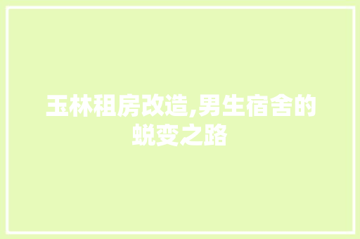 玉林租房改造,男生宿舍的蜕变之路 综合便民