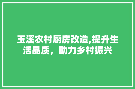 玉溪农村厨房改造,提升生活品质，助力乡村振兴 墙体维修