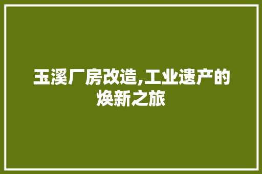 玉溪厂房改造,工业遗产的焕新之旅 墙体维修