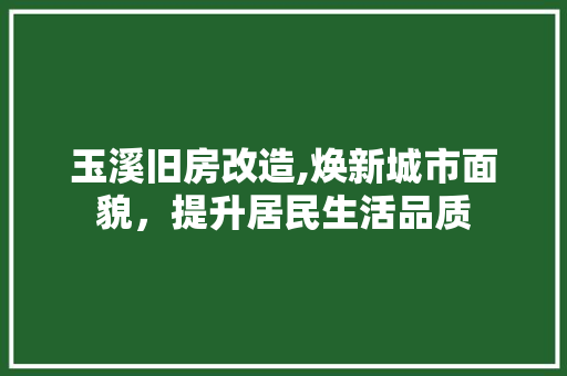 玉溪旧房改造,焕新城市面貌，提升居民生活品质