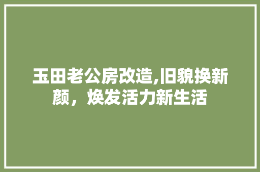 玉田老公房改造,旧貌换新颜，焕发活力新生活 汽车维修