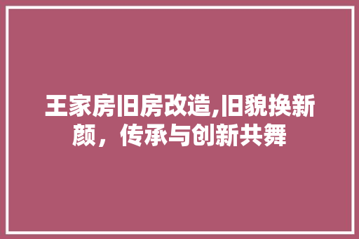 王家房旧房改造,旧貌换新颜，传承与创新共舞