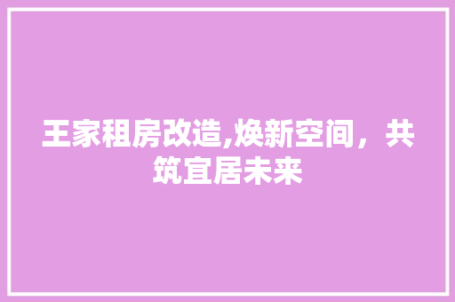 王家租房改造,焕新空间，共筑宜居未来